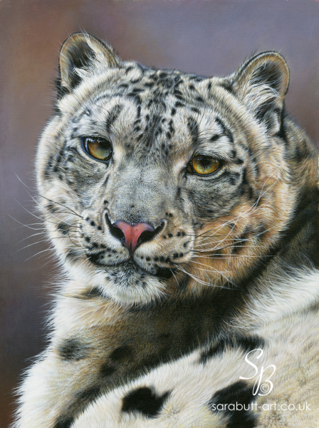 Snow Leopard