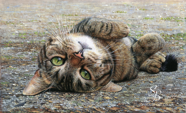Topsy Turvy